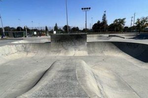 Your Guide to Sunnyvale Skate Park Fun & Safety | Learn to Surf & Skate: A Beginner's Step-by-Step Guide