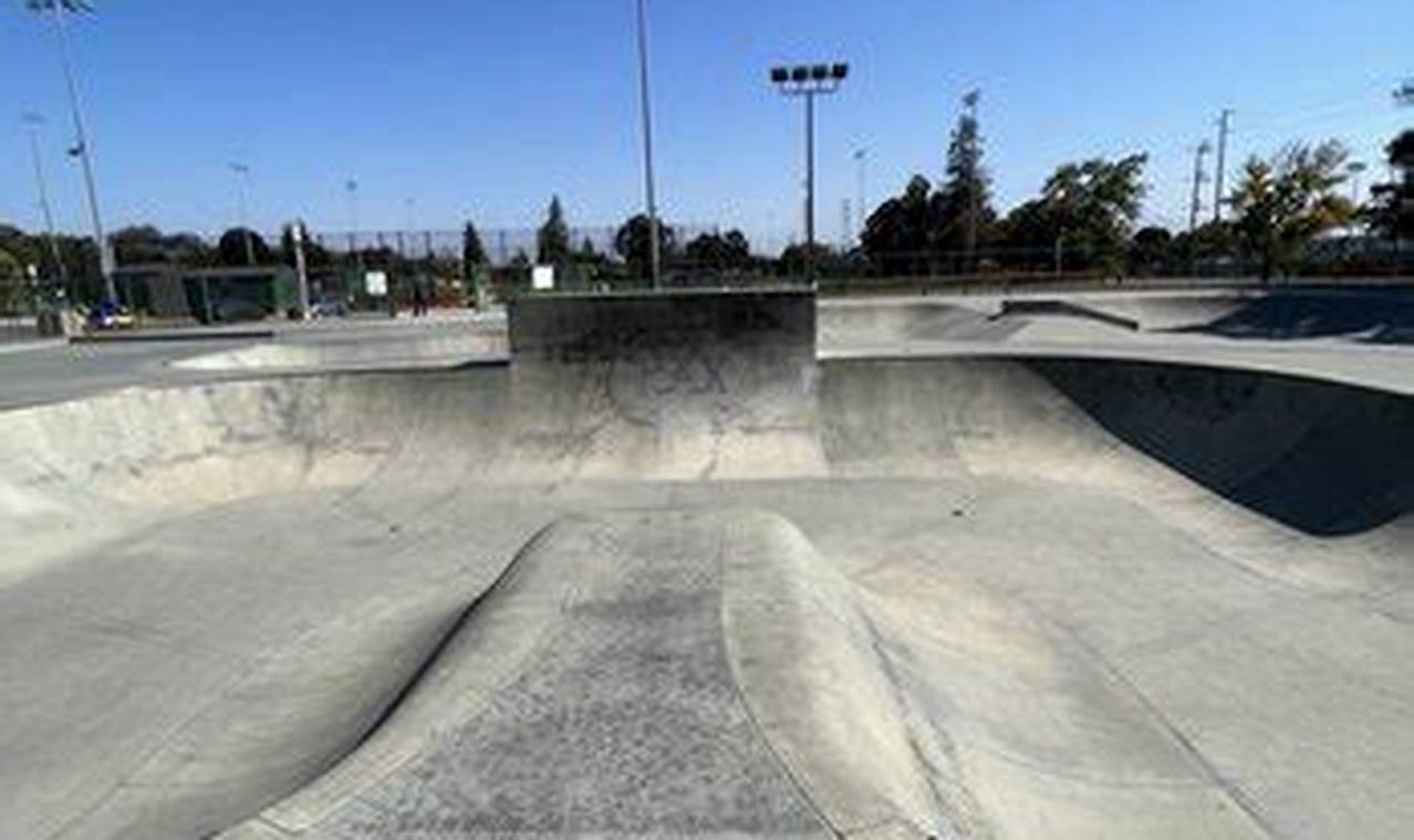 Your Guide to Sunnyvale Skate Park Fun & Safety Learn to Surf & Skate: A Beginner's Step-by-Step Guide Your Guide to Sunnyvale Skate Park Fun & Safety | Learn to Surf & Skate: A Beginner's Step-by-Step Guide