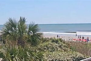 Myrtle Beach Surf Report: The Best Waves Today! | Learn to Surf & Skate: A Beginner's Step-by-Step Guide
