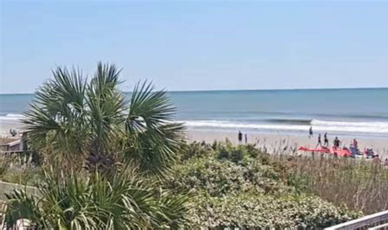 Myrtle Beach Surf Report: The Best Waves Today! Learn to Surf & Skate: A Beginner's Step-by-Step Guide Myrtle Beach Surf Report: The Best Waves Today! | Learn to Surf & Skate: A Beginner's Step-by-Step Guide