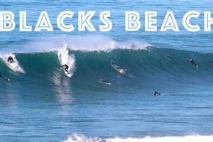 Your Blacks Surf Report: Conditions & Forecasts Now! | Learn to Surf & Skate: A Beginner's Step-by-Step Guide