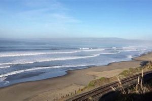 Manresa Beach Surf Report: Conditions & Forecasts | Learn to Surf & Skate: A Beginner's Step-by-Step Guide