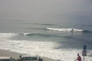 Live: Topanga Surf Cam - Check Surf Conditions Now! | Learn to Surf & Skate: A Beginner's Step-by-Step Guide