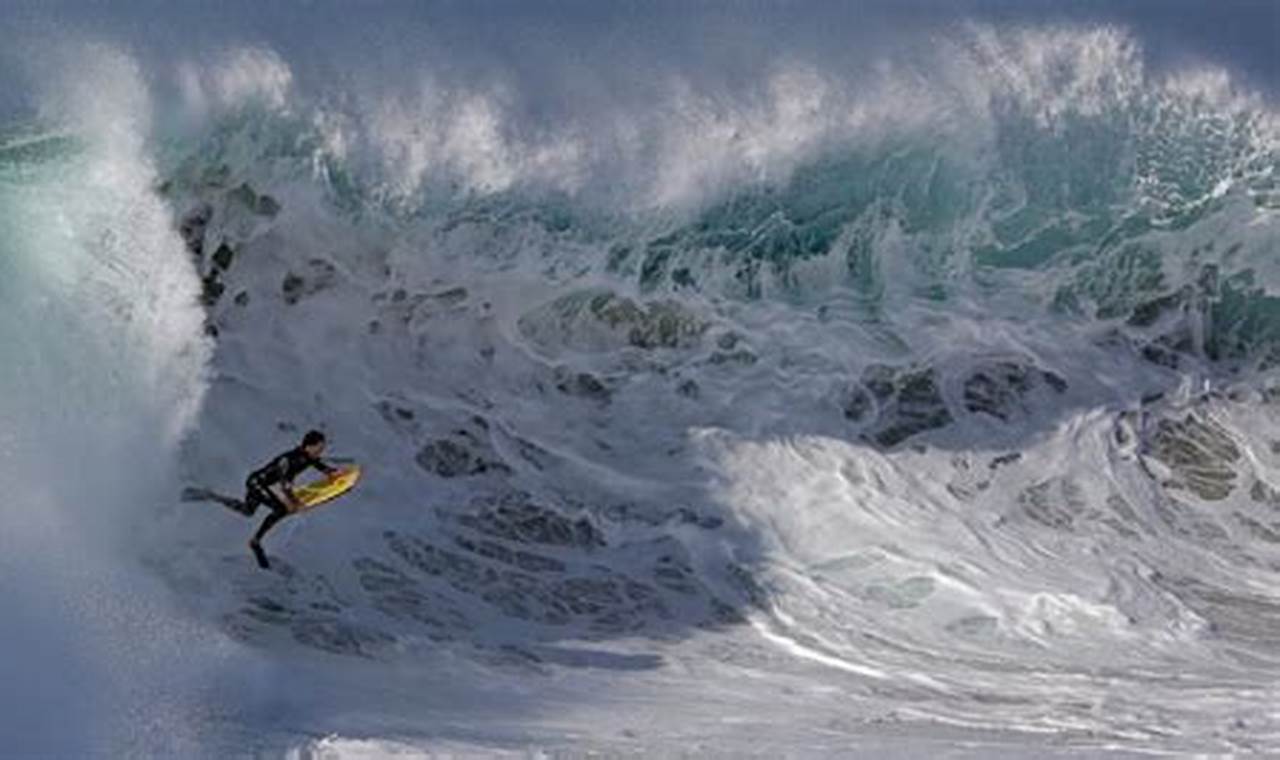 The Wedge Newport Beach Surf Report: Today's Swell + Safety | Learn to Surf & Skate: A Beginner's Step-by-Step Guide