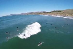 Your Salmon Creek Surf Report: Waves & Weather Now | Learn to Surf & Skate: A Beginner's Step-by-Step Guide