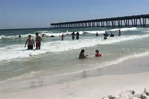 Your Pensacola Surf Report: Gulf Coast Waves Now! | Learn to Surf & Skate: A Beginner's Step-by-Step Guide