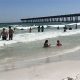 Your Pensacola Surf Report: Gulf Coast Waves Now! | Learn to Surf & Skate: A Beginner's Step-by-Step Guide