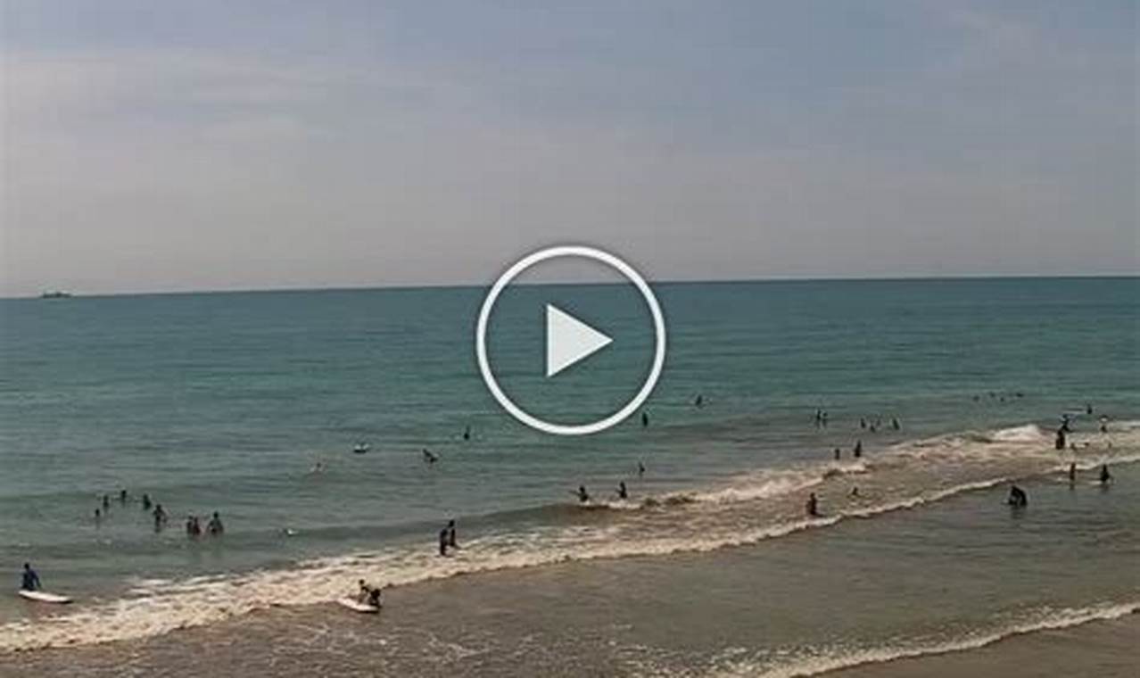 Your Guide: Cocoa Beach FL Surf Report &amp; Forecast | Learn to Surf & Skate: A Beginner's Step-by-Step Guide