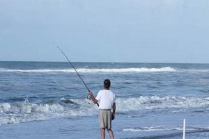 Your Oak Island Surf Report: Best Waves Today! | Learn to Surf & Skate: A Beginner's Step-by-Step Guide