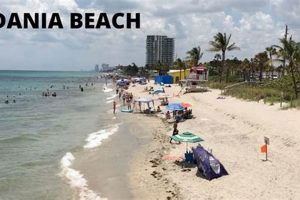 Your Dania Beach Surf Report: Waves & Weather Today | Learn to Surf & Skate: A Beginner's Step-by-Step Guide