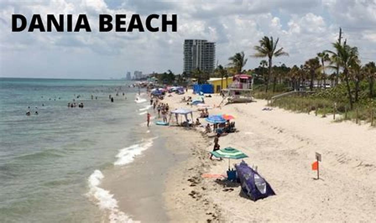 Your Dania Beach Surf Report: Waves & Weather Today Learn to Surf & Skate: A Beginner's Step-by-Step Guide Your Dania Beach Surf Report: Waves & Weather Today | Learn to Surf & Skate: A Beginner's Step-by-Step Guide