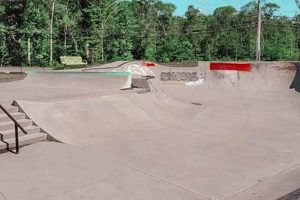 Best Skate Parks in Providence RI: Your Ultimate Guide | Learn to Surf & Skate: A Beginner's Step-by-Step Guide