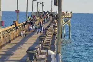 Live Surf City Pier Cam South: View Beach Conditions | Learn to Surf & Skate: A Beginner's Step-by-Step Guide