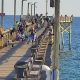 Live Surf City Pier Cam South: View Beach Conditions | Learn to Surf & Skate: A Beginner's Step-by-Step Guide