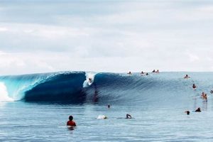 Teahupo'o Surf Report: Updated Now + Expert Analysis | Learn to Surf & Skate: A Beginner's Step-by-Step Guide