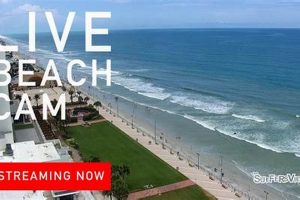 Live Surf Cam Daytona Beach: See the Waves Now! | Learn to Surf & Skate: A Beginner's Step-by-Step Guide