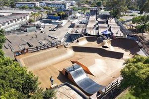 YMCA Krause Skate Park: Ride &amp; Thrive! | Learn to Surf & Skate: A Beginner's Step-by-Step Guide