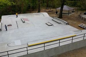 Local Skate Park Guide: Find Your Perfect Skate Park Spot Learn to Surf & Skate: A Beginner's Step-by-Step Guide Local Skate Park Guide: Find Your Perfect Skate Park Spot | Learn to Surf & Skate: A Beginner's Step-by-Step Guide
