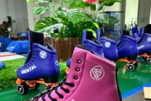 Buy Quality Bulk Roller Skates - Deals & Savings! Learn to Surf & Skate: A Beginner's Step-by-Step Guide Buy Quality Bulk Roller Skates - Deals & Savings! | Learn to Surf & Skate: A Beginner's Step-by-Step Guide