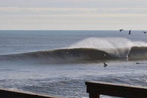 Jax Beach Pier Surf Report: Today's Waves & Conditions | Learn to Surf & Skate: A Beginner's Step-by-Step Guide