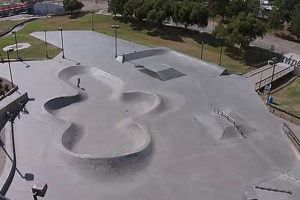 Best Scottsdale Skate Parks: Locations & More Learn to Surf & Skate: A Beginner's Step-by-Step Guide Best Scottsdale Skate Parks: Locations & More | Learn to Surf & Skate: A Beginner's Step-by-Step Guide