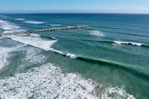 Your Guide: Lake Worth Surf Cam - See the Waves Now! Learn to Surf & Skate: A Beginner's Step-by-Step Guide Your Guide: Lake Worth Surf Cam - See the Waves Now! | Learn to Surf & Skate: A Beginner's Step-by-Step Guide