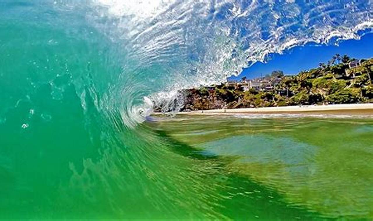 Laguna Beach Surf Report: Your Guide + Forecast CA | Learn to Surf & Skate: A Beginner's Step-by-Step Guide