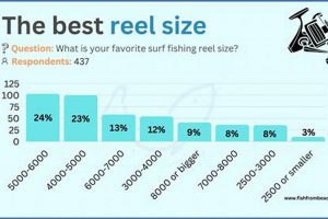 Tackle Tips: Reel Size for Beach Surf Success! | Learn to Surf & Skate: A Beginner's Step-by-Step Guide