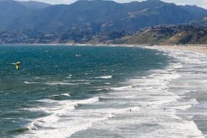 Your Santa Monica Surf Report: Waves & Tides Today Learn to Surf & Skate: A Beginner's Step-by-Step Guide Your Santa Monica Surf Report: Waves & Tides Today | Learn to Surf & Skate: A Beginner's Step-by-Step Guide