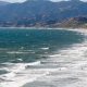 Your Santa Monica Surf Report: Waves & Tides Today | Learn to Surf & Skate: A Beginner's Step-by-Step Guide