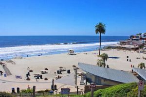 Moonlight Beach Surf Rentals: Your Wave Starts Here! | Learn to Surf & Skate: A Beginner's Step-by-Step Guide