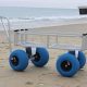 Best Surf Fishing Beach Cart: Your Tackle Transport Solution! | Learn to Surf & Skate: A Beginner's Step-by-Step Guide