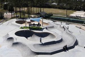 Your Guide to Skate Park Jacksonville Fun + Safety! | Learn to Surf & Skate: A Beginner's Step-by-Step Guide