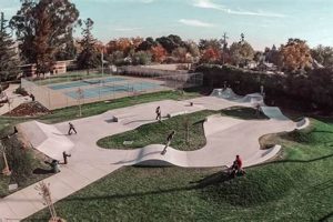 Best Skate Parks in Sacramento: A Local's Guide Learn to Surf & Skate: A Beginner's Step-by-Step Guide Best Skate Parks in Sacramento: A Local's Guide | Learn to Surf & Skate: A Beginner's Step-by-Step Guide
