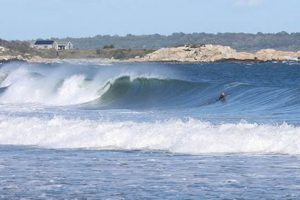 Your Warm Winds Surf Report: Local Waves Now! | Learn to Surf & Skate: A Beginner's Step-by-Step Guide
