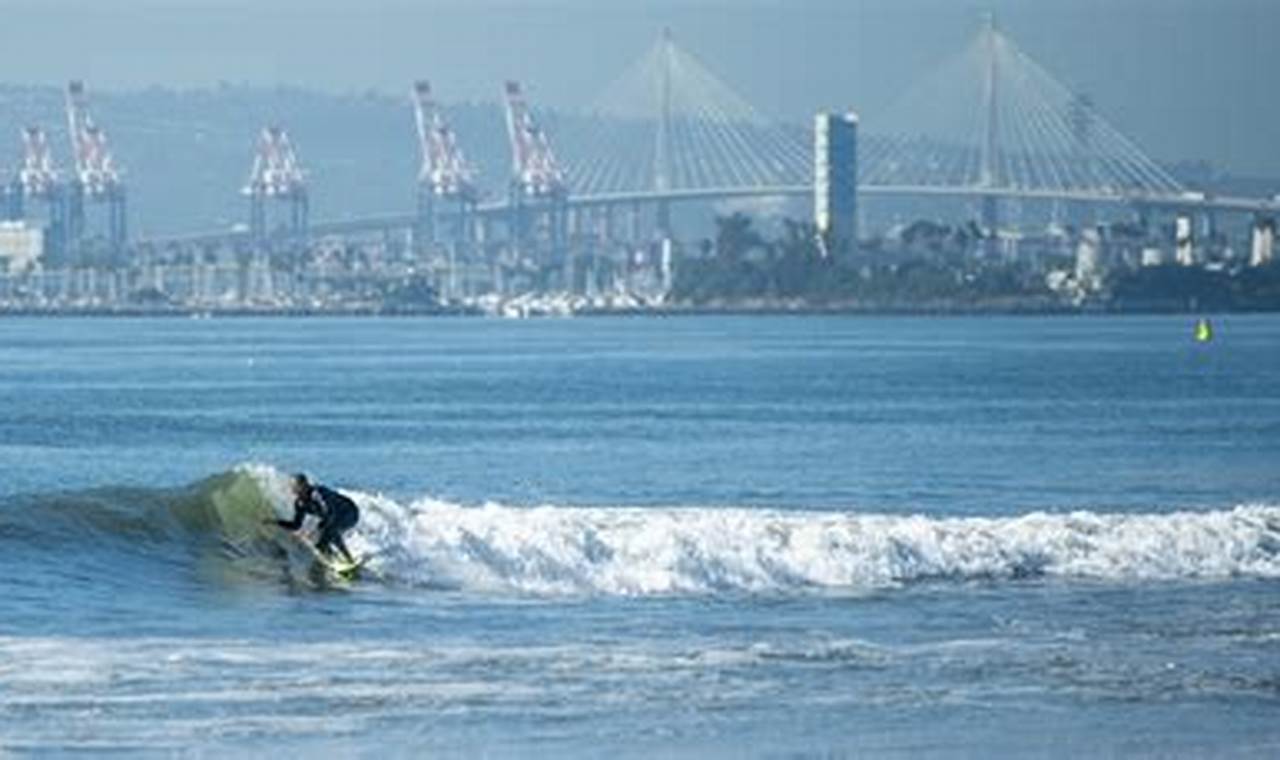 Your Guide to Long Beach Surf: Tips & Spots Learn to Surf & Skate: A Beginner's Step-by-Step Guide Your Guide to Long Beach Surf: Tips & Spots | Learn to Surf & Skate: A Beginner's Step-by-Step Guide