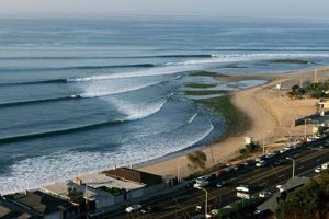 Live Malibu Beach Surf Cam: See Waves Now! | Learn to Surf & Skate: A Beginner's Step-by-Step Guide