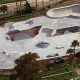 Best Skate Parks Daytona Beach: Ride the Waves! | Learn to Surf & Skate: A Beginner's Step-by-Step Guide