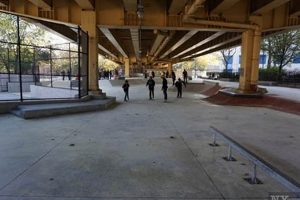 Discover Golconda Skate Park: Your Ultimate Skate Spot! Learn to Surf & Skate: A Beginner's Step-by-Step Guide Discover Golconda Skate Park: Your Ultimate Skate Spot! | Learn to Surf & Skate: A Beginner's Step-by-Step Guide