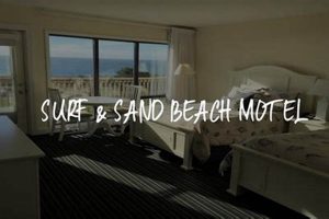 Find Your Surf and Sand Beach Motel: Coastal Getaways! | Learn to Surf & Skate: A Beginner's Step-by-Step Guide