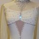 Elevate on Ice: Figure Skate Dress Designs & Styles | Learn to Surf & Skate: A Beginner's Step-by-Step Guide