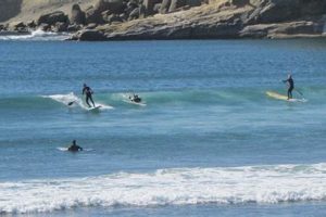 Live Pacific City Surf Cam: See Waves Now! | Learn to Surf & Skate: A Beginner's Step-by-Step Guide