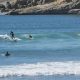 Live Pacific City Surf Cam: See Waves Now! | Learn to Surf & Skate: A Beginner's Step-by-Step Guide
