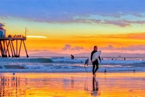 San Diego Surf Report Today: Local Wave Conditions | Learn to Surf & Skate: A Beginner's Step-by-Step Guide