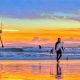 San Diego Surf Report Today: Local Wave Conditions | Learn to Surf & Skate: A Beginner's Step-by-Step Guide