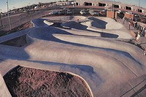 Best Skate Parks Mesa AZ: Local Spots + Guide | Learn to Surf & Skate: A Beginner's Step-by-Step Guide