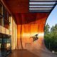 Build a Dream: House Park Skate Park Designs & Ideas! | Learn to Surf & Skate: A Beginner's Step-by-Step Guide
