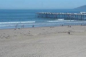 Your Pismo Beach Surf Report: Conditions &amp; Forecasts | Learn to Surf & Skate: A Beginner's Step-by-Step Guide