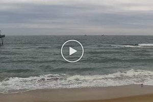 Live Virginia Beach Surf Cam: Watch VB Waves Now! | Learn to Surf & Skate: A Beginner's Step-by-Step Guide