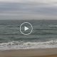Live Virginia Beach Surf Cam: Watch VB Waves Now! | Learn to Surf & Skate: A Beginner's Step-by-Step Guide